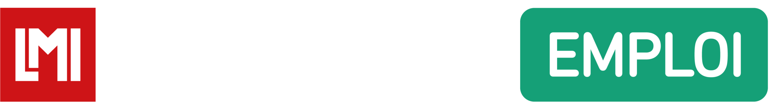 Le Monde Informatique – Emploi